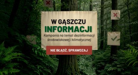 PBS dla Lasów Państwowych: 21% Polaków sądzi, że drewno można pozyskać nie wycinając drzew