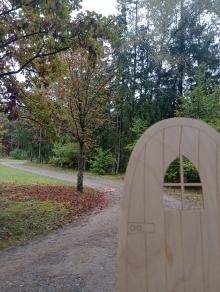 Leśne warsztaty pełne inspiracji – nauczyciele odkrywają tajemnice natury! 🌿