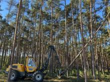 uruchomienia postępowania przetargowego prowadzonego w trybie dynamicznego systemu zakupów pn. „Wykonywanie usług z zakresu gospodarki leśnej na terenie Nadleśnictw Niedźwiady i Osusznica”